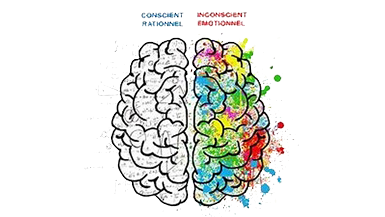 cerveau